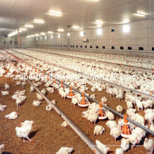 Equipo automático de cría de aves de corral para la construcción de pollos de engorde y granja